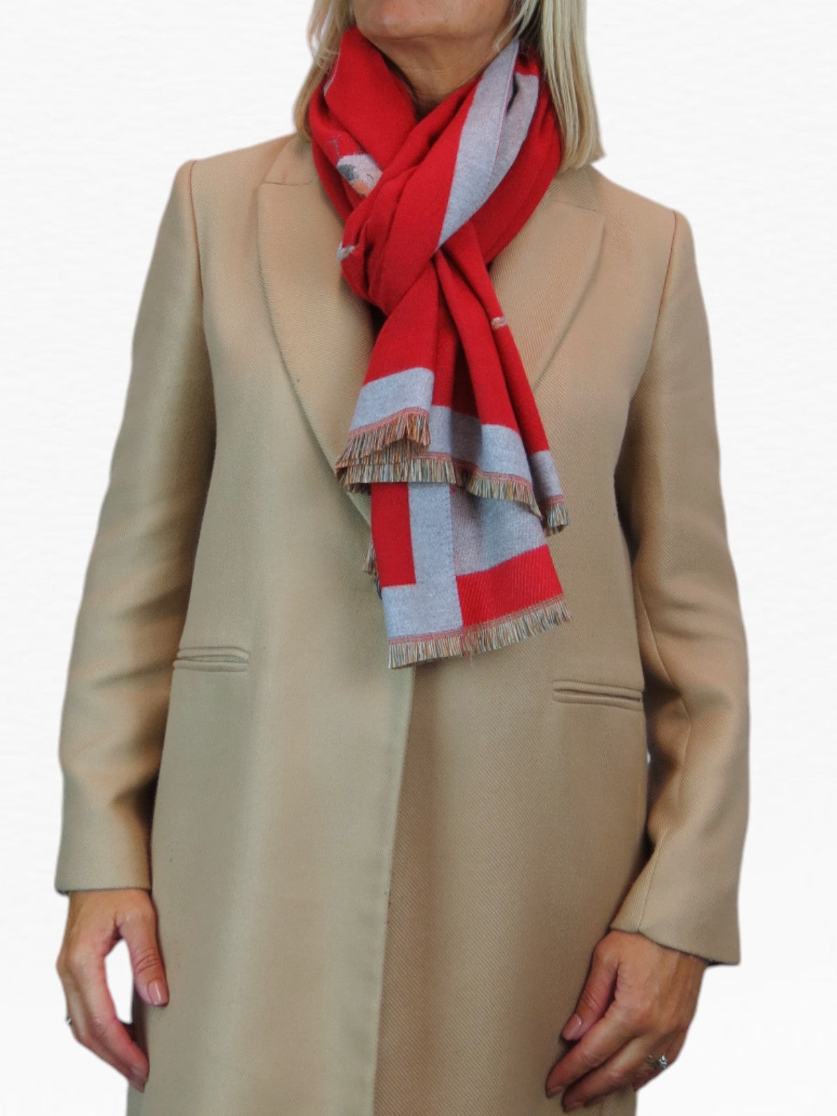 Cashmere Pashmina Blanket Scarf Robins Red