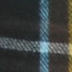 alt-tag