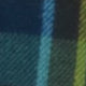 alt-tag