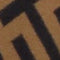 alt-tag
